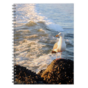 Caderno Espiral Venice Beach Seagull