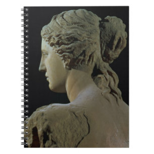 Caderno Espiral Vênus de Milo, detalhe da parte traseira da