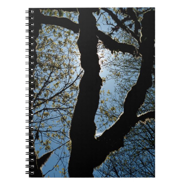 CADERNO ESPIRAL VER (Frente)