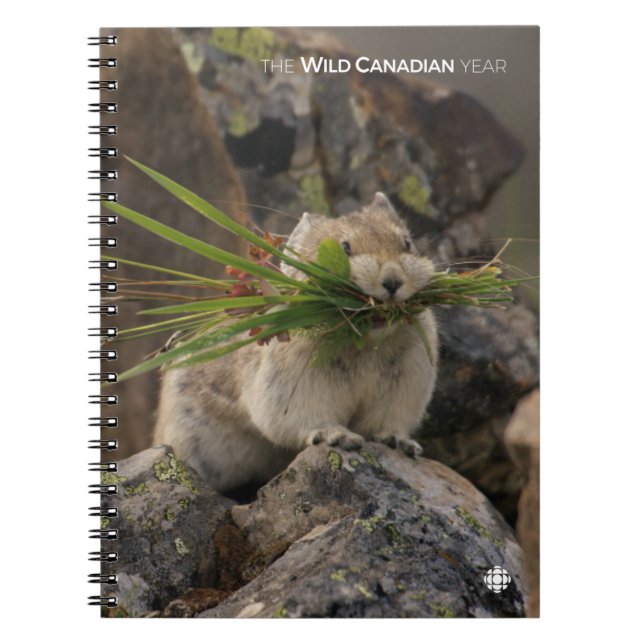 Caderno Espiral Verão - América Latina (Frente)