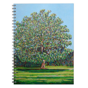 Caderno Espiral Verão da árvore do arco