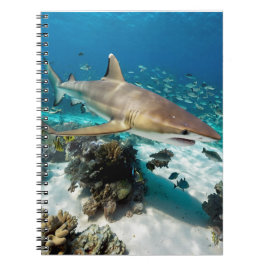 Caderno Espiral Verão de Oceano Azul Praia Foto de tubarão