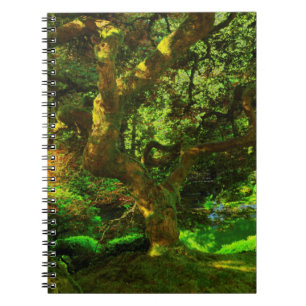 Caderno Espiral Verão, Jardim Japonês de Portland, Portland