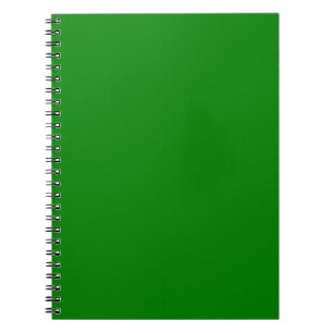 Caderno Espiral Verdadeiro Verde