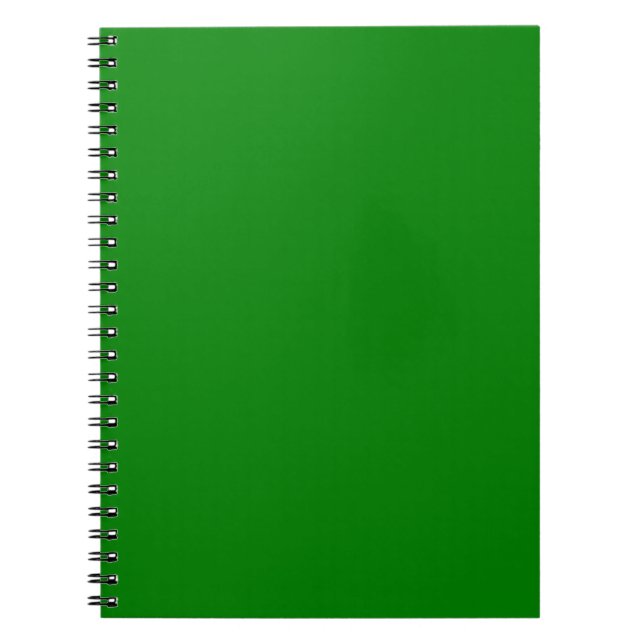 Caderno Espiral Verdadeiro Verde (Frente)