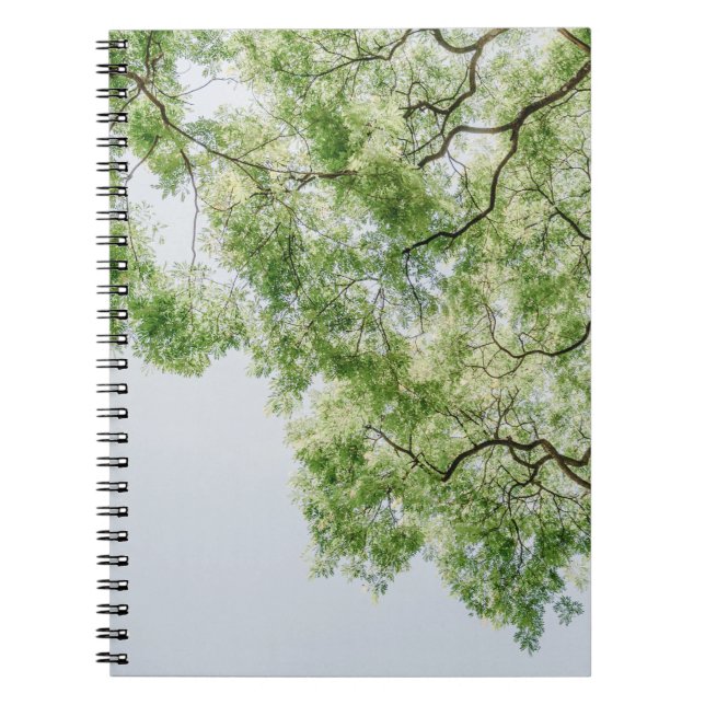 Caderno Espiral verde (Frente)