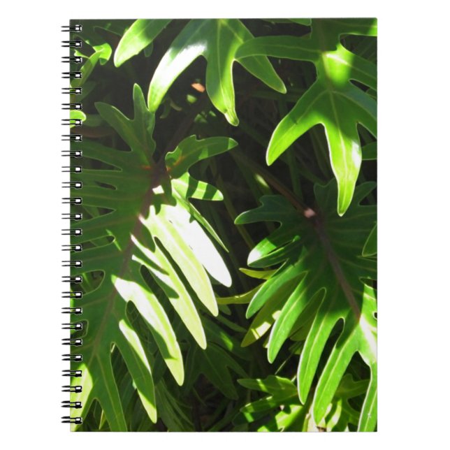 Caderno Espiral Verde tropical (Frente)