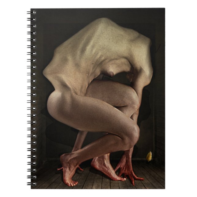 Caderno Espiral Vergonha 2012 (Frente)