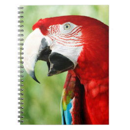 Caderno Espiral Vermelho Brilhante