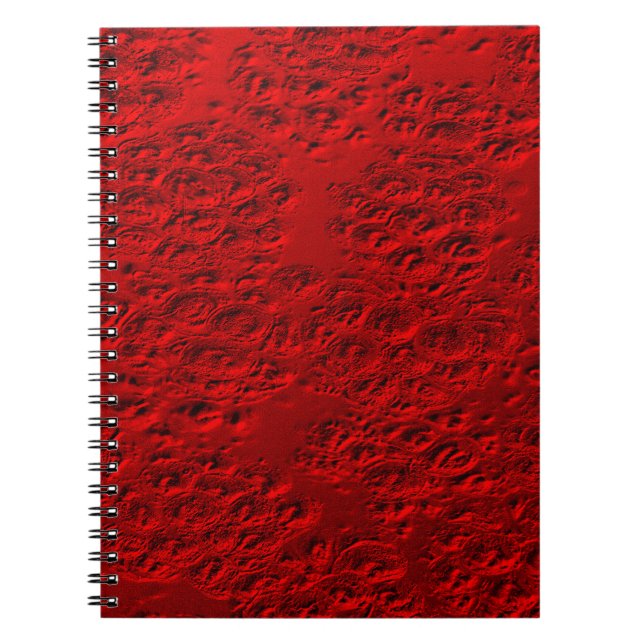 Caderno Espiral Vermelho danificado (Frente)