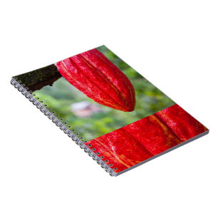 Caderno Espiral vermelho de cacau