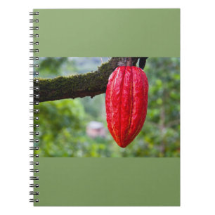 Caderno Espiral vermelho de cacau