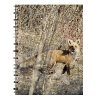 Caderno espiral vermelho de Fox do Adirondacks