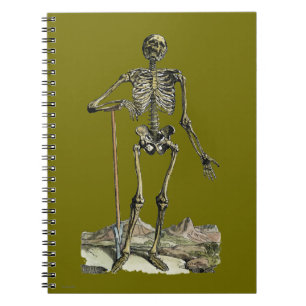 Caderno Espiral Vesalius: Sistema esqueletal