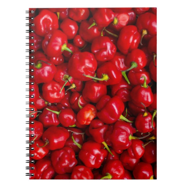 Caderno Espiral Vibrant Red Chili Pepper Harvest (Frente)