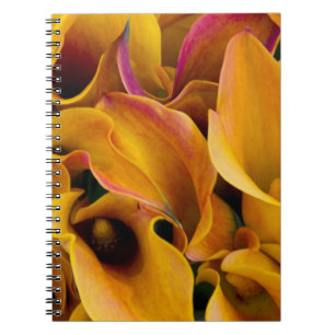 Caderno Espiral Vibrantes copos-de-leite coloridos no