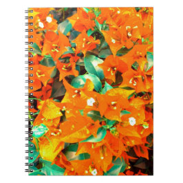 Caderno Espiral Vibrantes Flores de Bougainvillea Laranja