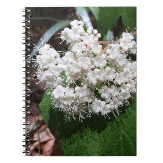 Caderno Espiral Viburnum da folha de bordo