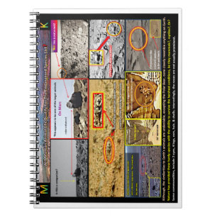 Caderno Espiral Vida animal marciana