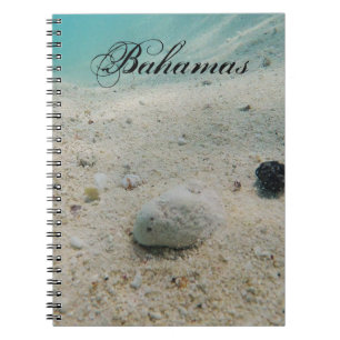 Caderno Espiral Vida Submarina na Praia
