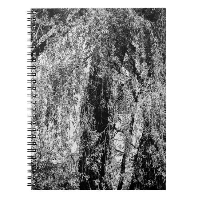 Caderno Espiral vida útil (Frente)