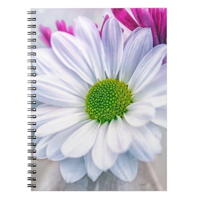 Caderno Espiral Vidro partido (Frente)