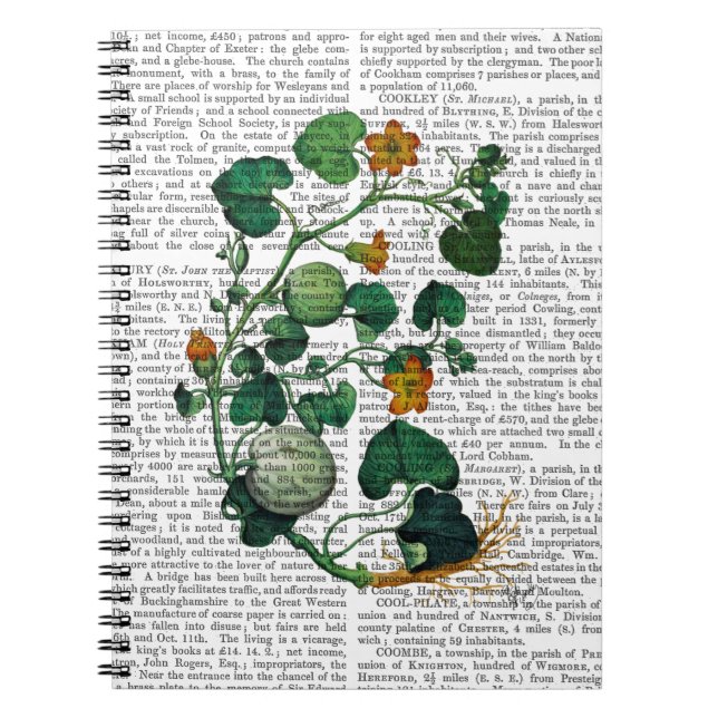 Caderno Espiral Vinha-de-vidro 2 (Frente)