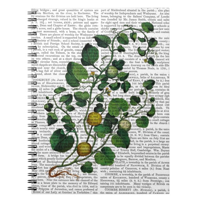 Caderno Espiral Vinha-esquadrão 4 (Frente)