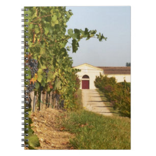 Caderno Espiral Vinhas, videiras petit verdot e a adega ao