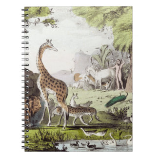 Caderno Espiral Vinheta