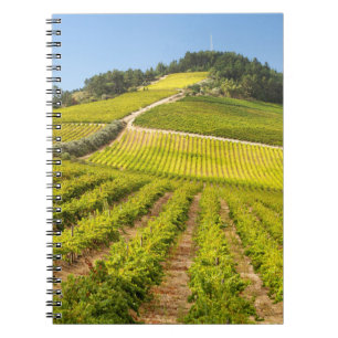 Caderno Espiral Vinícola, Stellenbosch, Cabo Ocidental