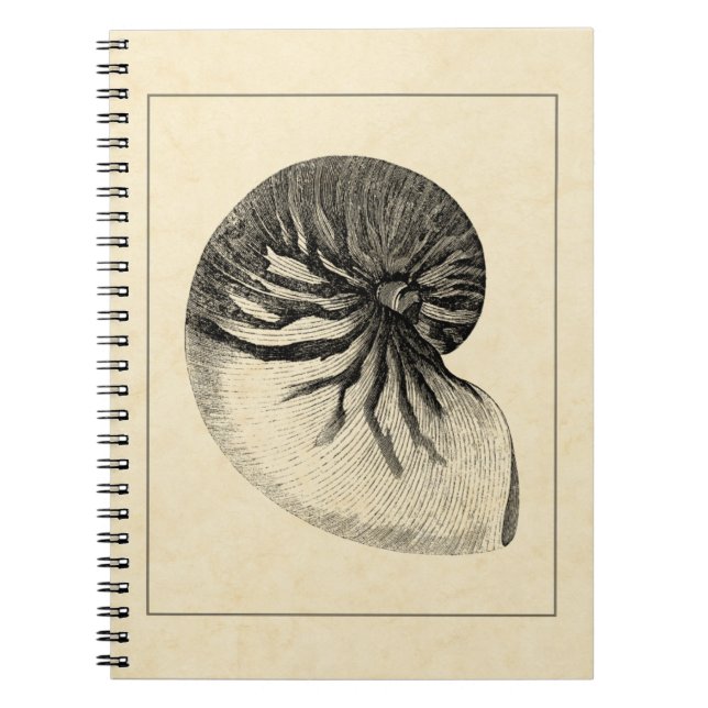 Caderno Espiral Vintage Black and White Conch Shell (Frente)
