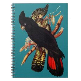 Caderno Espiral Vintage Black Cockatoo | Elizabeth Gould 1800s Pos