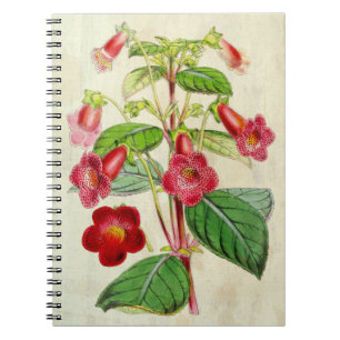 Caderno Espiral Vintage Botanical Hybrid Tydeas