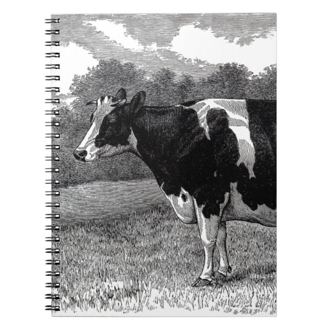 Caderno Espiral Vintage Cow (Frente)