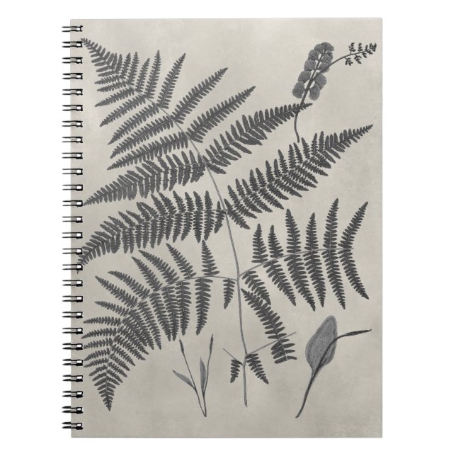 Caderno Espiral Vintage Ferns (Frente)