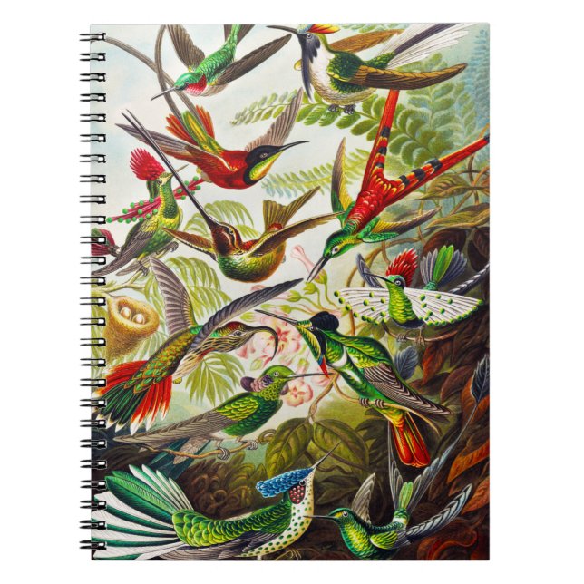 Caderno Espiral Vintage Hummingbird por Ernst Haeckel (Frente)
