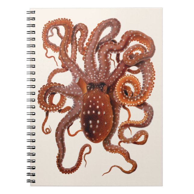 Caderno Espiral Vintage Octopus Macropus, Animais Aquáticos Marinh (Frente)