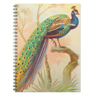 Caderno Espiral Vintage Peacock numa pintura de galho