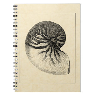 Caderno Espiral Vintage - Shell de Conch Preto e Branco