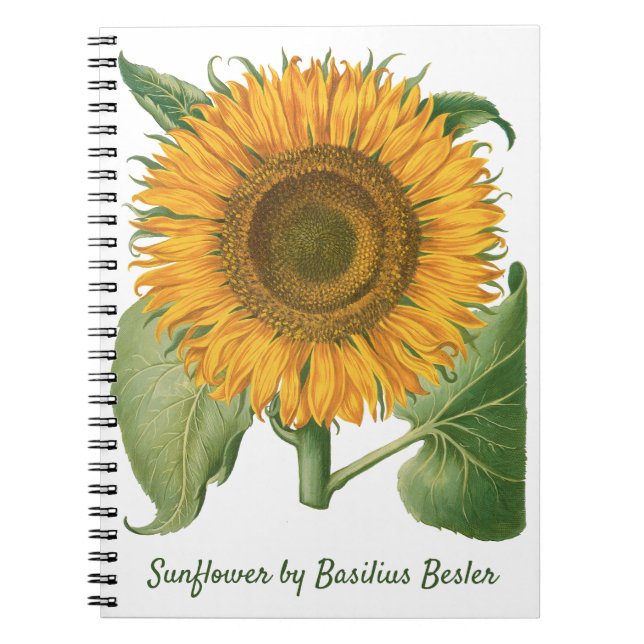 Caderno Espiral Vintage Sunflower Flower by Basilius Besler (Frente)