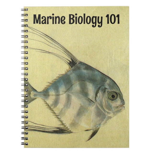 Caderno Espiral Vintage Threadfin Trevally, Peixe Pompano Africano (Frente)