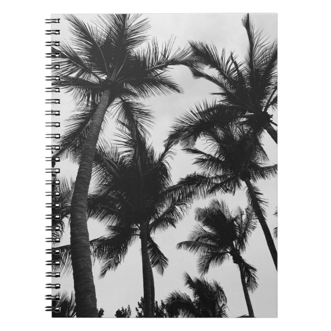 CADERNO ESPIRAL VINTAGEM COCONUT PALM TREE (Frente)