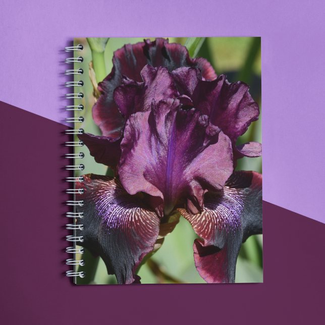 Caderno Espiral Violet Iris Bloom Floral Profundo (In Situ)