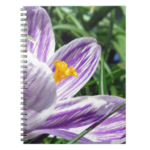 Caderno Espiral Violet Primavera Crocus