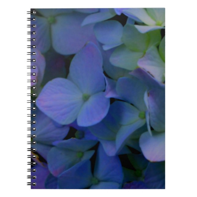 Caderno Espiral Violet purple pink blue hydrangeas flower floral (Frente)
