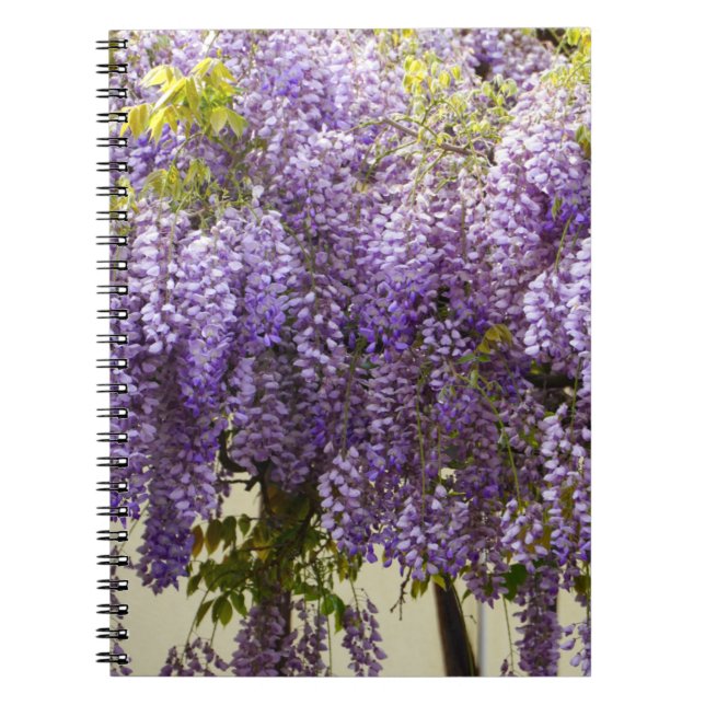 Caderno Espiral Violet Wisteria Flowers (Frente)