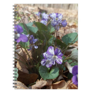 Caderno Espiral Violeta de madeira do sul