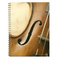 Violino detalhado