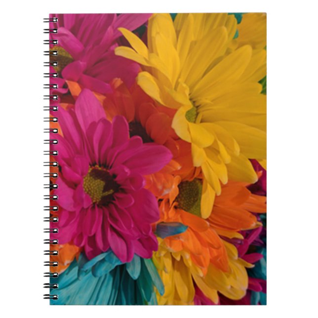 Caderno Espiral Visitas Coloridas (Frente)